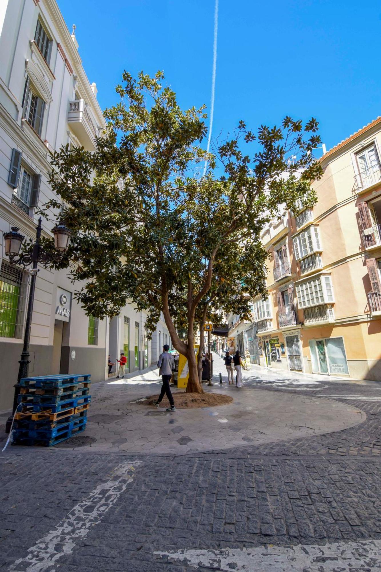 Apartment Letplanet Plaza Del Teatro Premium Malaga